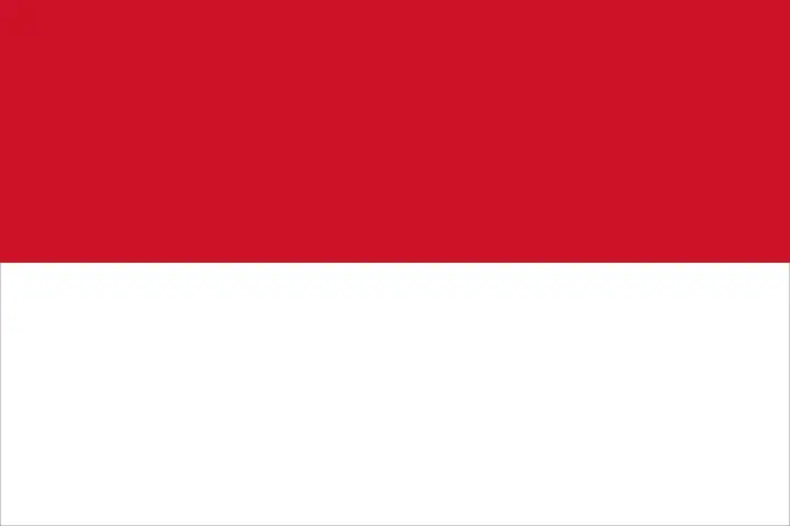IDN